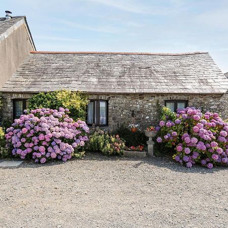 Coach House Cottage บู๊ด ภายนอก รูปภาพ